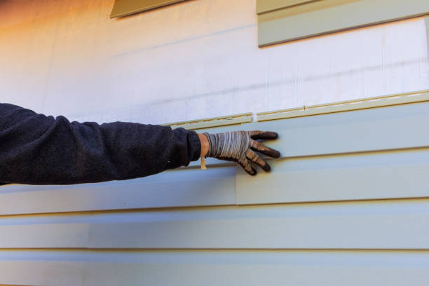 Best Insulated Siding Installation  in Manteo, NC